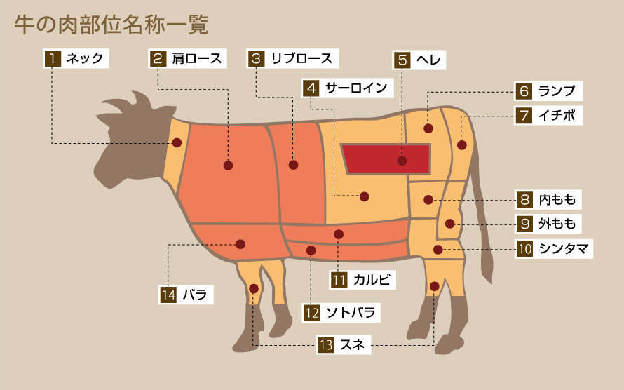 牛の肉部位別名称