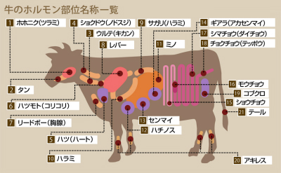 牛のホルモン部位別名称一覧