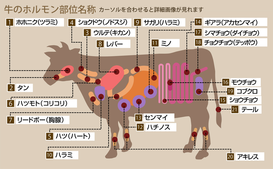 牛のホルモン部位別名称