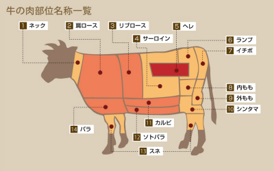 牛の肉部位別名称一覧